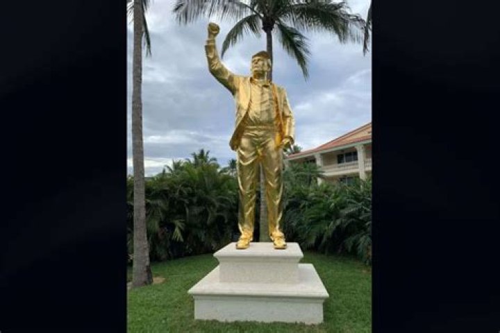 Unveiling The Model's Towering Stature